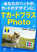 Ｔカードプラス Photo